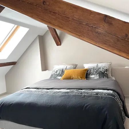 Le Vue Sur Châteaux - Avec Parking Proche Colmar *