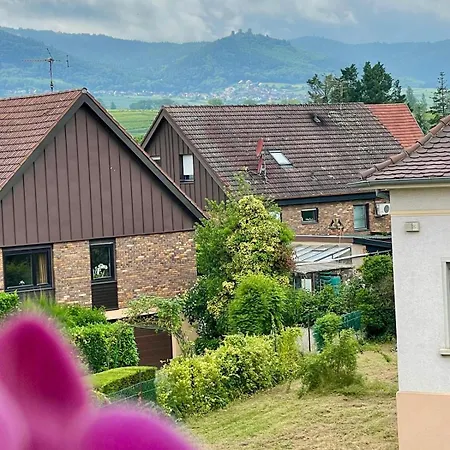 Le Vue Sur Châteaux - Avec Parking Proche Colmar Apartamento *