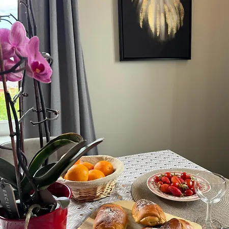 Appartement Le Vue Sur Châteaux - Avec Parking Proche Colmar