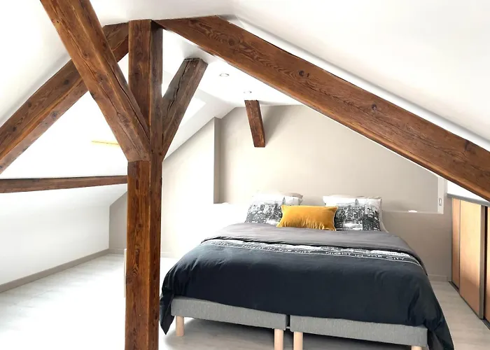Le Vue Sur Châteaux - Avec Parking Proche Colmar Apartamento *