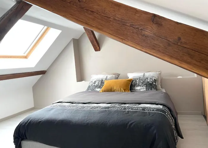 Le Vue Sur Châteaux - Avec Parking Proche Colmar *