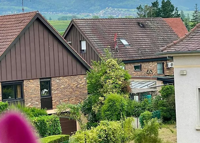 Le Vue Sur Châteaux - Avec Parking Proche Colmar Apartamento *