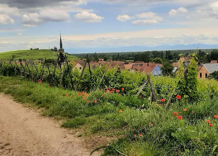 Le Vue Sur Châteaux - Avec Parking Proche Colmar